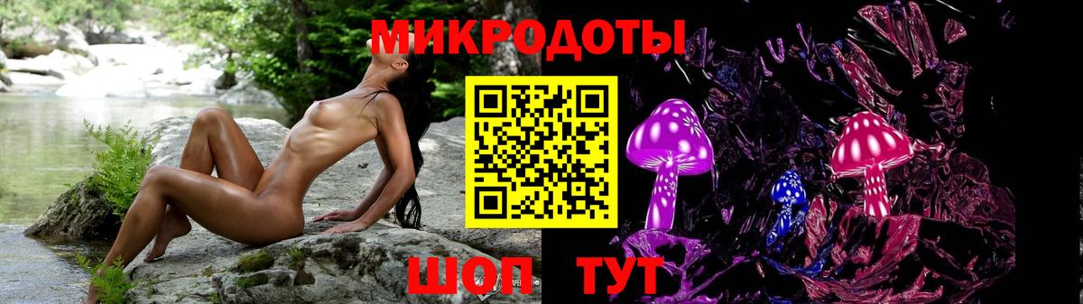 Галлюциногенные грибы MAGIC MUSHROOMS  Вход с VPN  Геленджик 